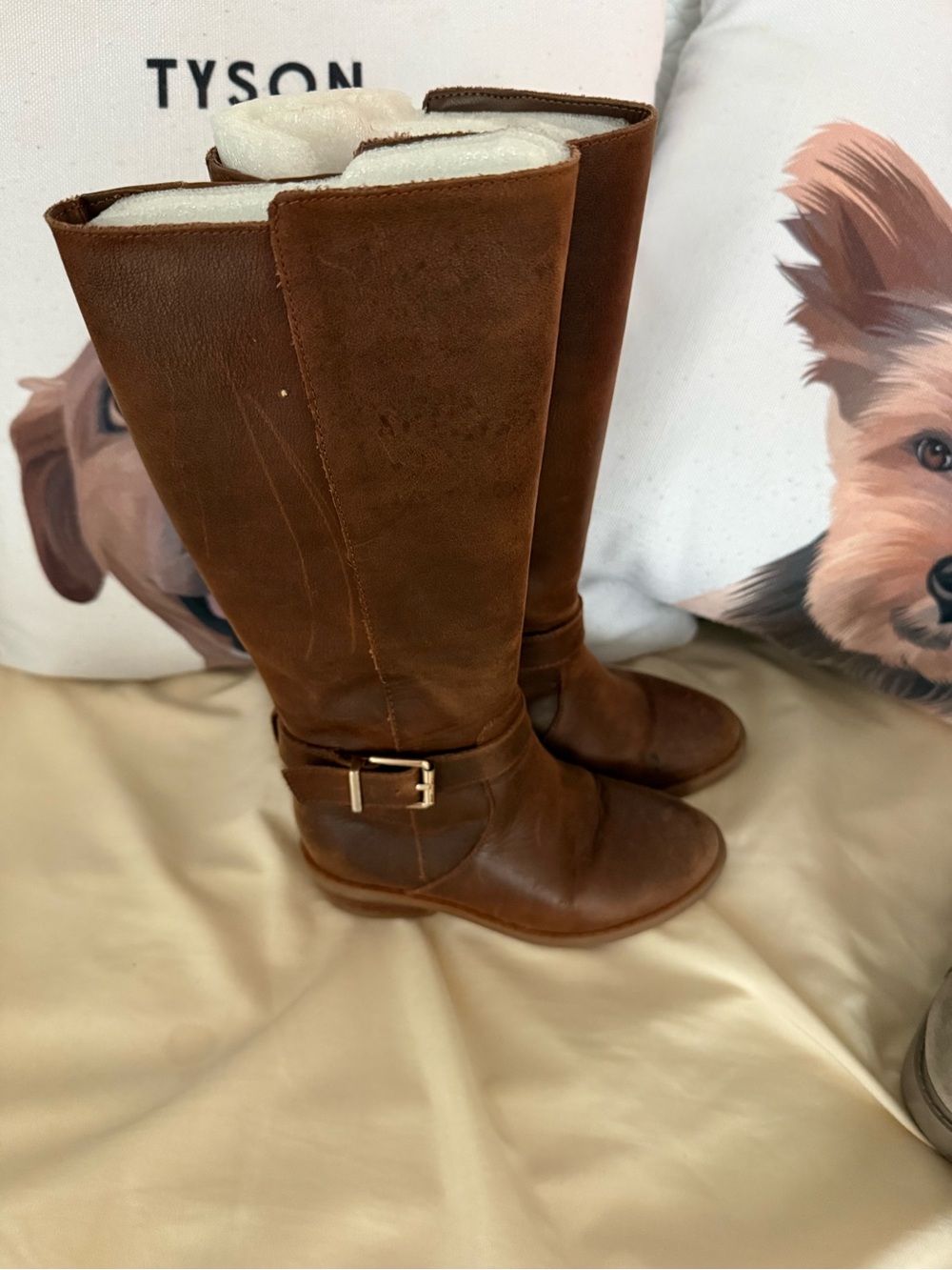 GB girls Brown Tall Riding Boots with Buckle